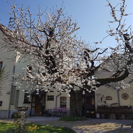 Ferienwohnung Zum-Alten-Kirschbaum Limburg an der Lahn Esterno foto