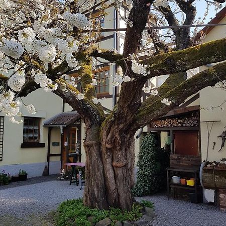 Ferienwohnung Zum-Alten-Kirschbaum Limburg an der Lahn Esterno foto