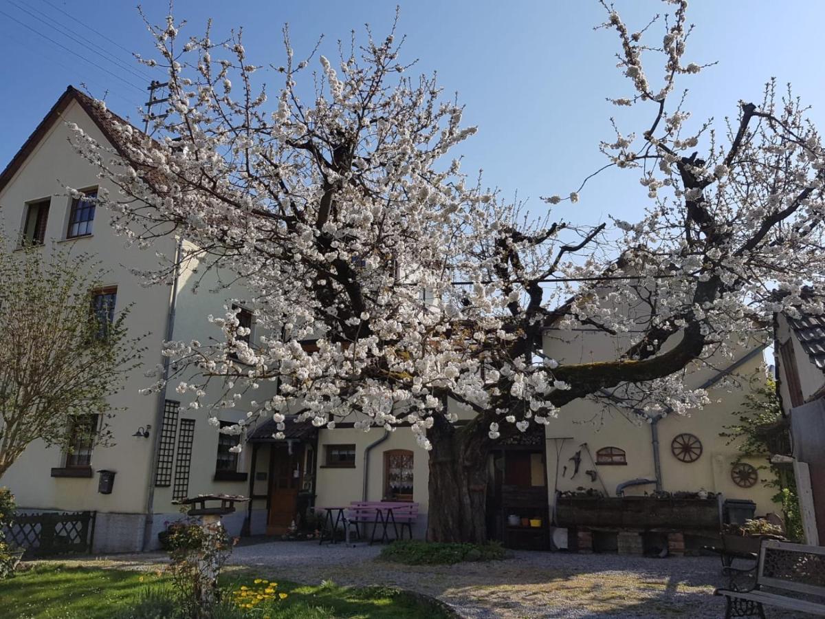 Ferienwohnung Zum-Alten-Kirschbaum Limburg an der Lahn Esterno foto