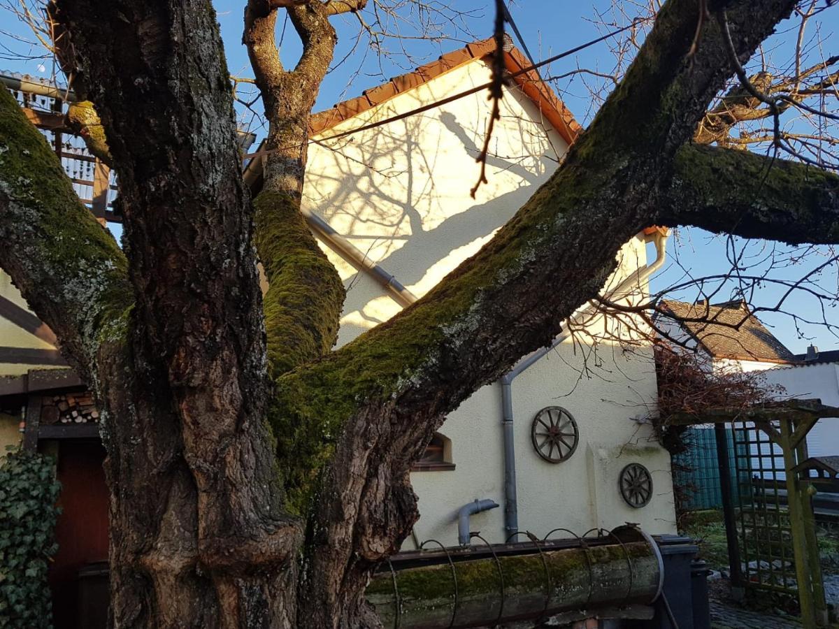 Ferienwohnung Zum-Alten-Kirschbaum Limburg an der Lahn Esterno foto