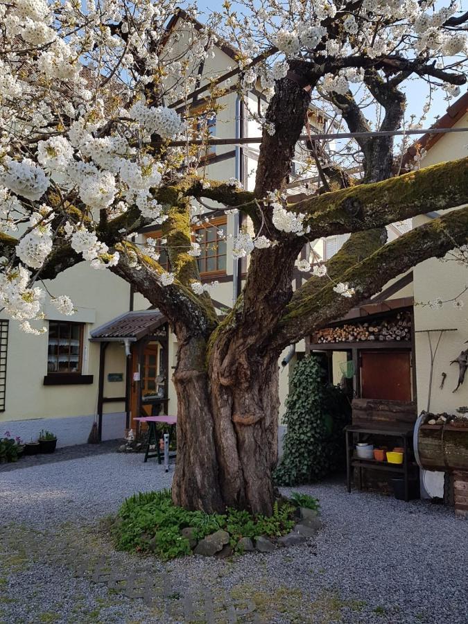 Ferienwohnung Zum-Alten-Kirschbaum Limburg an der Lahn Esterno foto